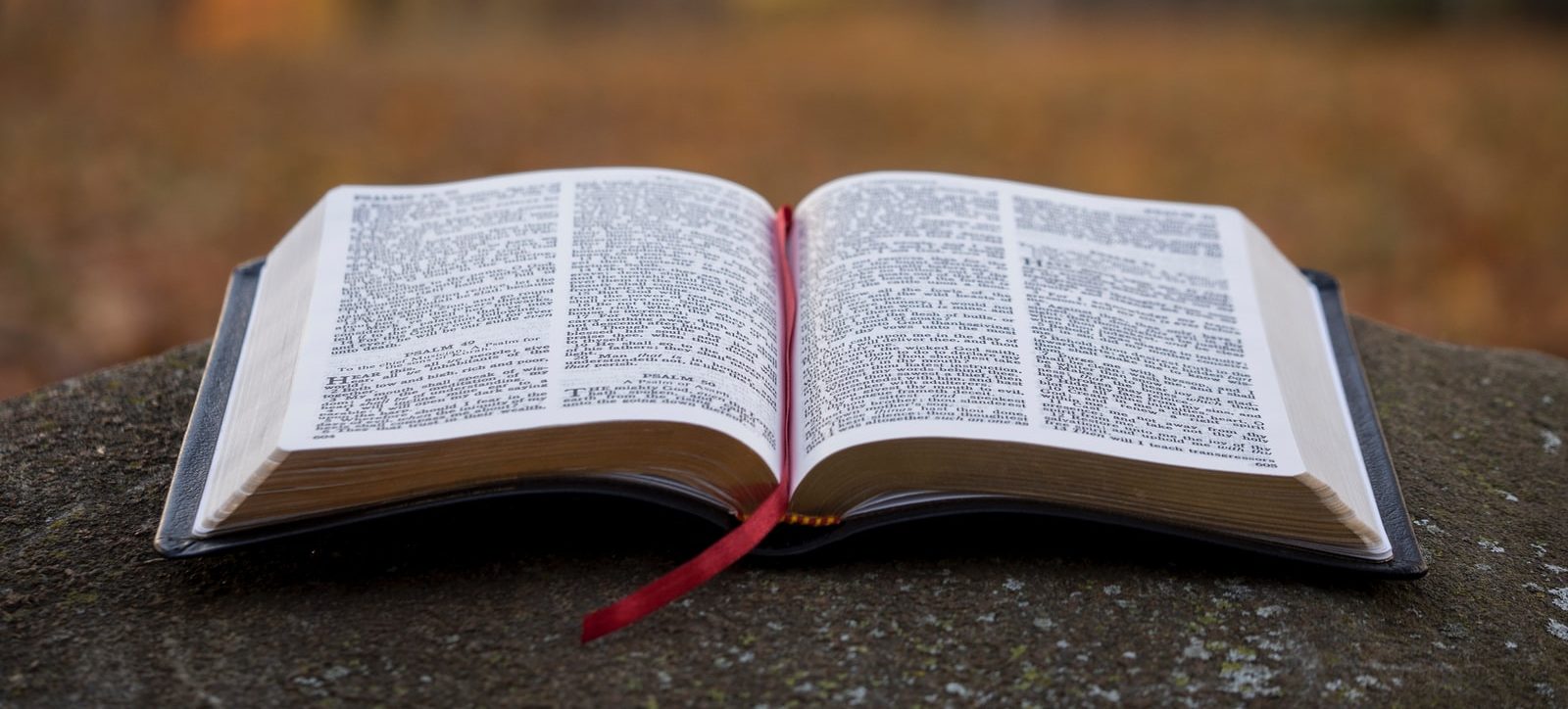 Where Do Deacons Come From, and What Do They Do?